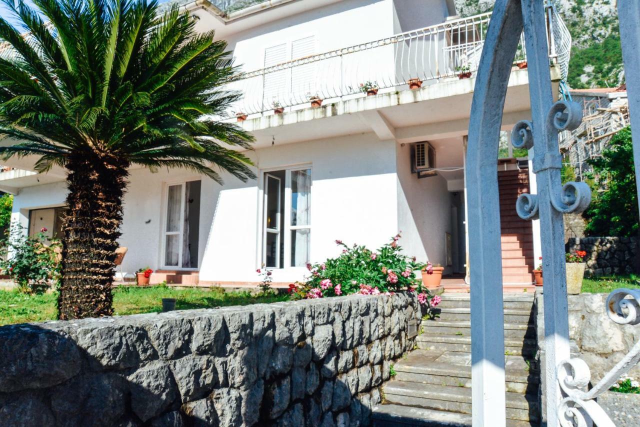 Waterfront Apartment Petrovina كوتور المظهر الخارجي الصورة